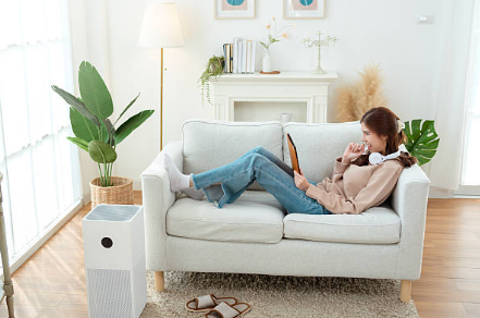 Air Cleaner