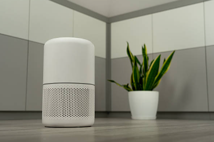 Air purifier and humidifier used together in a modern home.
Air Purifier vs. Humidifier