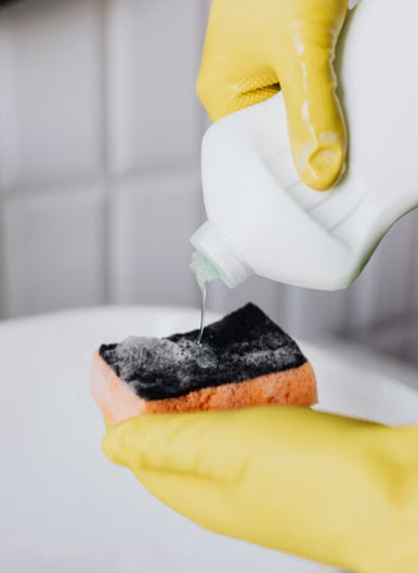 kitchen sponge