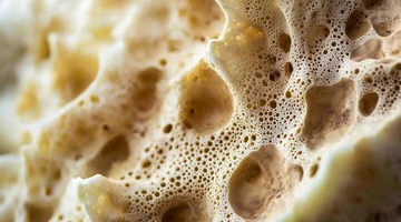 Close-up of a wet kitchen sponge showing its porous structure.