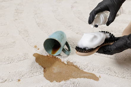 Carpet Spot Cleaning